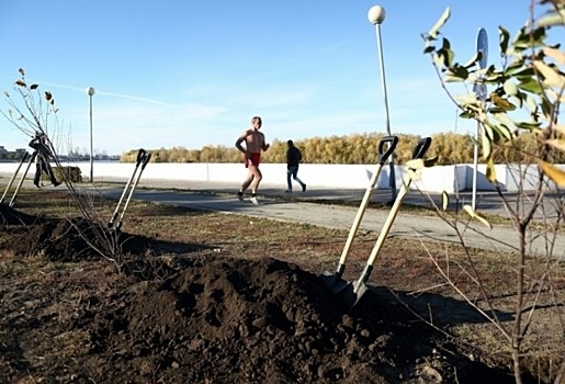 Осенний общегородской субботник пройдет в Омске 5 октября