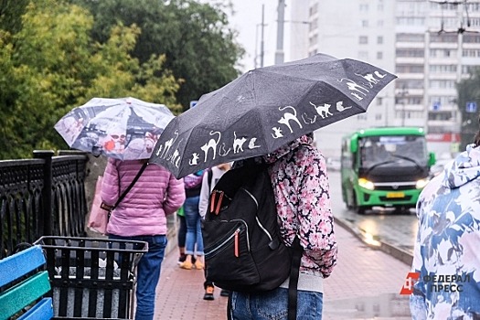 Первая неделя сентября в Кузбассе начнется с проливных дождей