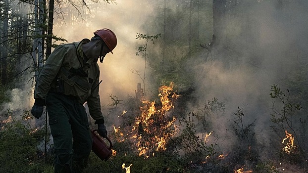 Площадь пожара в районе Ямного Воронежской области достигла 20 гектаров