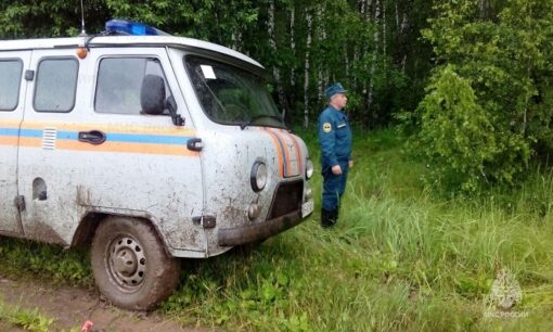 Под Орлом при помощи пожарной сирены нашли пенсионерку0