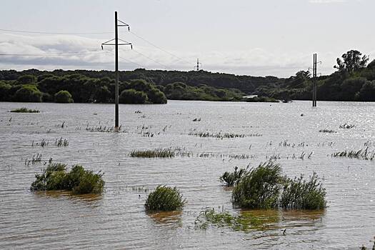 Подъем воды в реках спрогнозировали в двух российских регионах