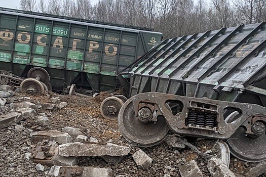 По делу подрывника железной дороги под Рязанью допрошены 15 свидетелей