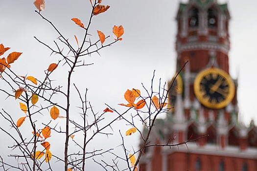 Синоптик Леус: облачная погода и до +14°C ожидаются в Москве в понедельник