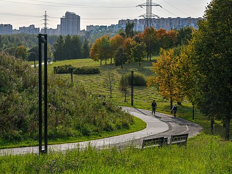 Температура воздуха в столице начнет снижаться с четверга – синоптик Леус