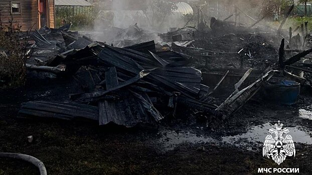 Три человека погибли на пожаре под Вологдой