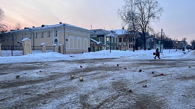 Вандалы, повредившие новогоднюю ель, предстанут перед судом в Вологде