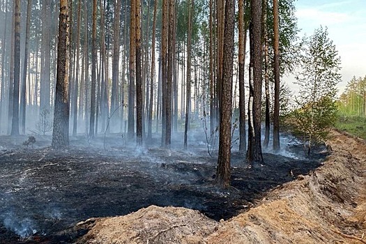 В Адыгее ограничили посещение лесов из-за жаркой и сухой погоды