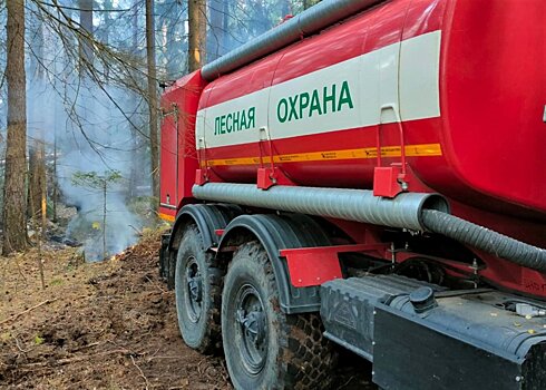 В Балашихе спасатели несколько часов тушат сильный лесной пожар