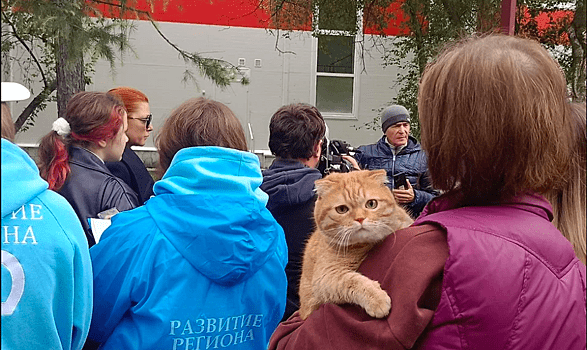 В Екатеринбурге жители выступили против строительства академии хоккея. Проект включает сокращение охраняемой от застройки территории парка Энгельса на 13% и вынос сетей в зону общего пользования