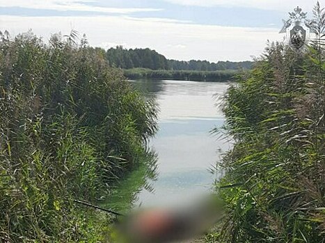 В Калининграде от удара током погиб рыбак, зацепивший удочкой высоковольтные провода