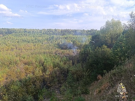 В Калужской области произошел третий с начала сентября лесной пожар