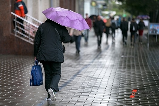 В Красноярске прогнозируют дожди и ветер