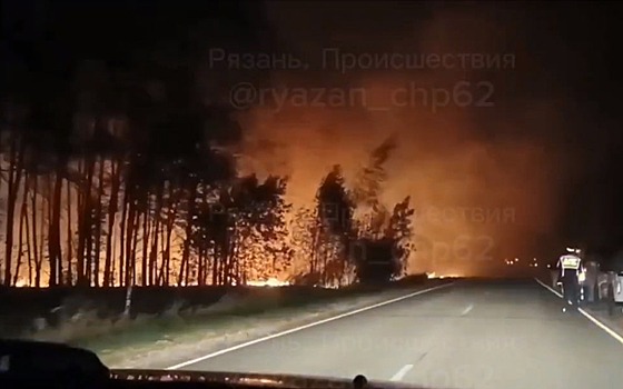 В лесах Спасского района случился сильный пожар