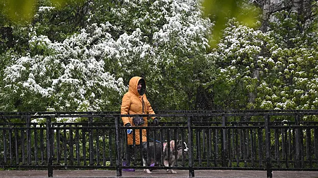 В МЧС предупредили москвичей о заморозках