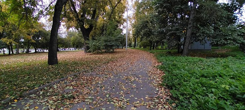 В Новосибирской области из нового парка украли плитку: что известно