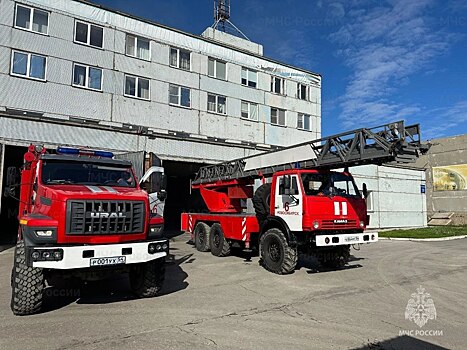 В Новосибирской области за неделю погибли два человека