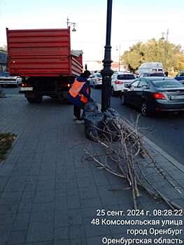 В Оренбурге на улице Терешковой косят траву, а на Комсомольской стригут кустарники