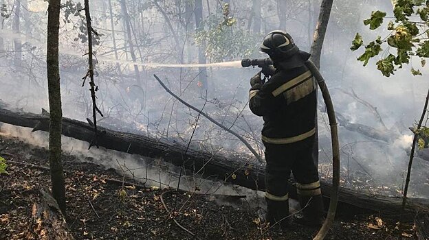 В Пензенской области за сутки случилось 56 пожаров