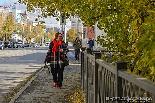 В регионах УрФО ожидают порывы ветра до 27 м/с в ближайшие три дня