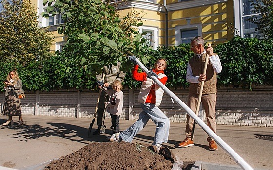 В Рязани сотрудники «Зелёного сада» высадили липовую аллею на улице Полонского