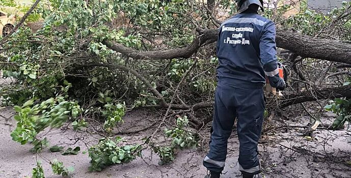 В Ростове ликвидированы последствия падений 33 деревьев