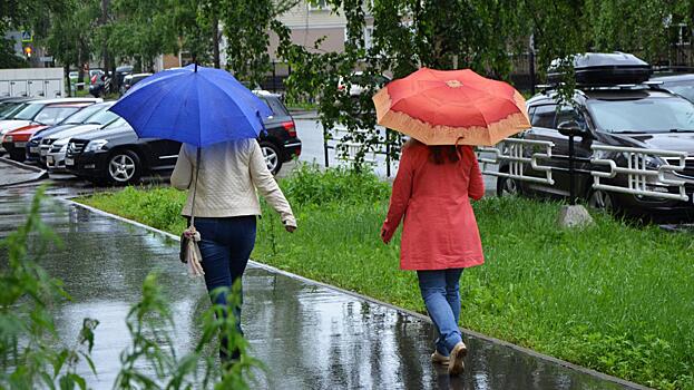 В Вологду в конце недели придут дожди