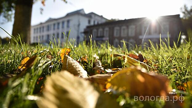 Вологжан ожидают тёплые и ясные выходные