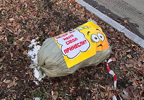 Благовещенцев призвали не выбрасывать мусорные мешки на обочины дорог