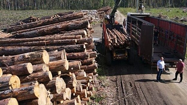 Бойцам СВО отправили древесину для защитных сооружений