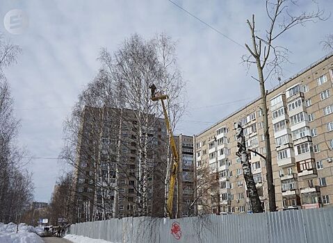 До конца октября в сквере у дома №82 по улице Молодёжной в Ижевске посадят новые деревья