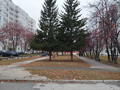 Дождь со снегом пройдет в Нижнем Новгороде на этой неделе