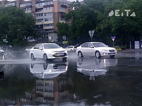 Дожди возобновятся в Приморье