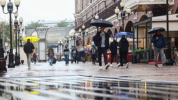 Городские службы Москвы переведены в режим повышенной готовности