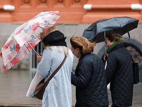 Городские службы переведены в режим повышенной готовности из-за ветра и дождя в Москве