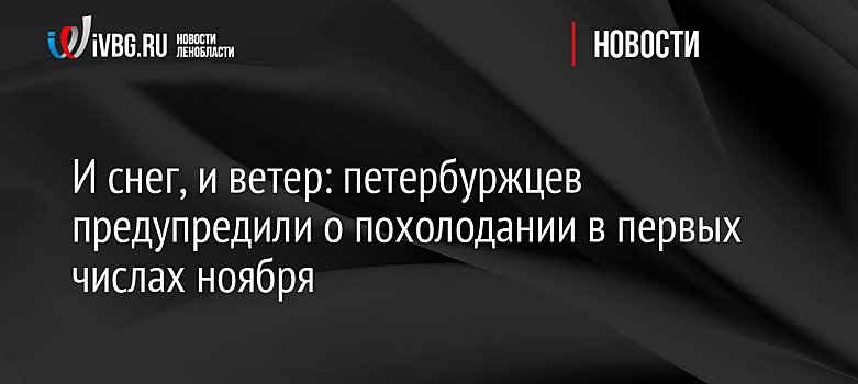 И снег, и ветер: петербуржцев предупредили о похолодании в первых числах ноября