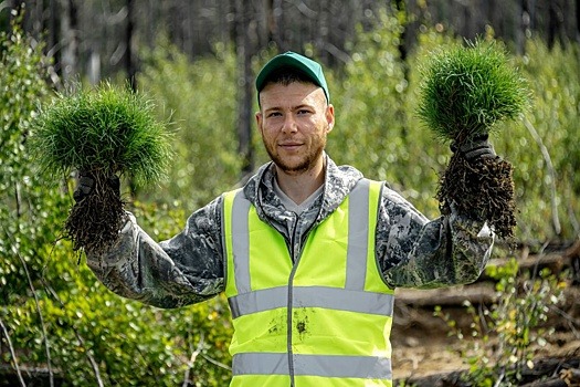 Как внедрить технологии сохранения биоразнообразия в промышленных регионах