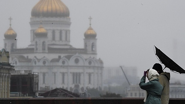 МЧС предупредило москвичей о сильном ветре 1 ноября