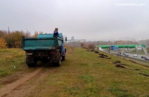 Мэр Орла рассказал о планах по озеленению0