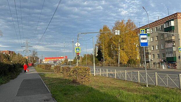 Место для остановки маршруток на ул. Дизельной удивило пензенцев