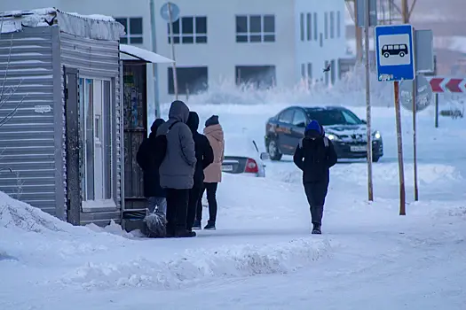 На очистку остановок и пешеходных переходов от снега в Дзержинском районе Новосибирска потратят 5 млн рублей