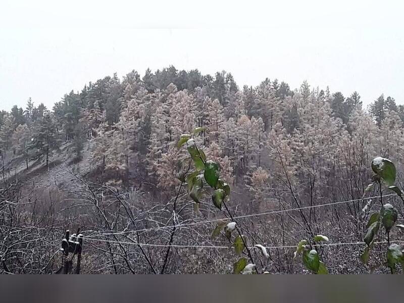 Небольшой снег ожидается завтра в Забайкалье0