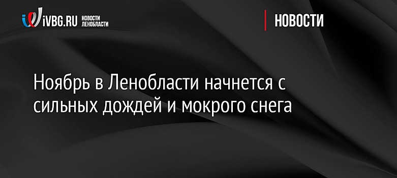 Ноябрь в Ленобласти начнется с сильных дождей и мокрого снега