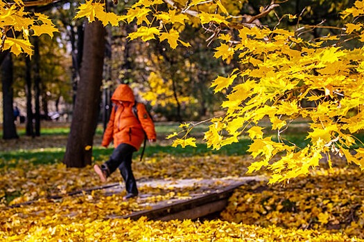 Облачная погода и температура до 8°С тепла ожидаются в Москве в среду