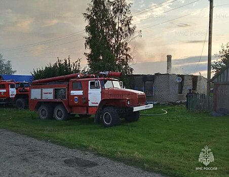 Под Новосибирском задержали предполагаемого поджигателя дачного дома