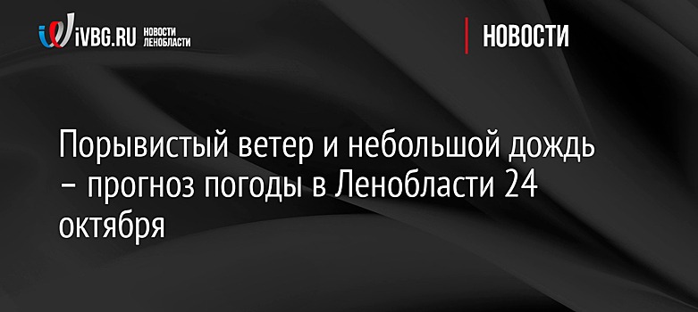 Порывистый ветер и небольшой дождь – прогноз погоды в Ленобласти 24 октября