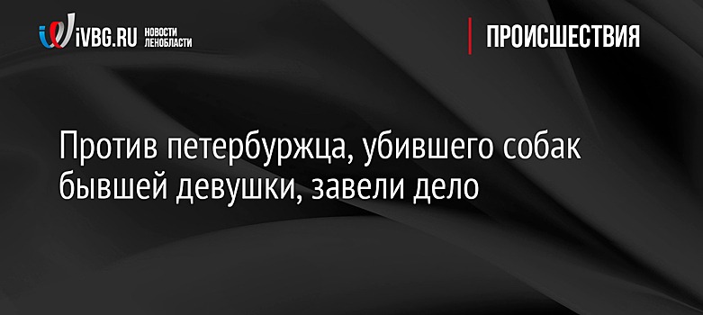 Против петербуржца, убившего собак бывшей девушки, завели дело