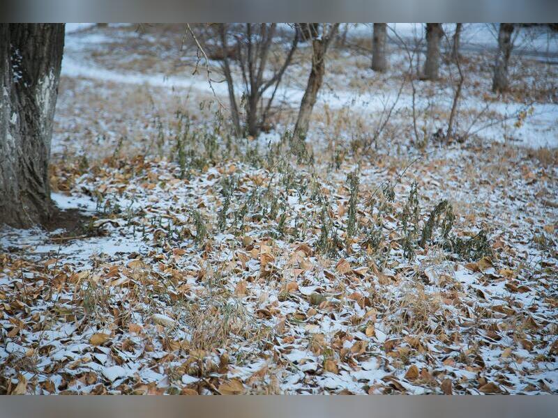 Рабочая неделя в Забайкалье начнется со снега0