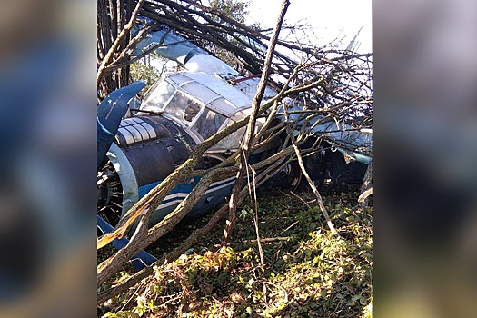 Самолет Ан-2 совершил жесткую посадку на Ставрополье