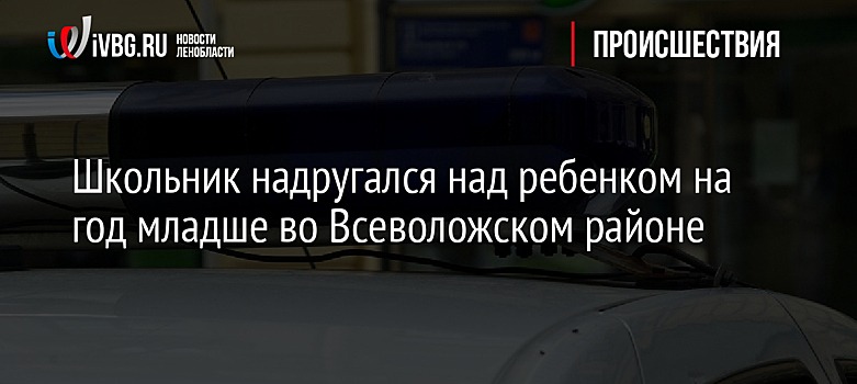 Школьник надругался над ребенком на год младше во Всеволожском районе