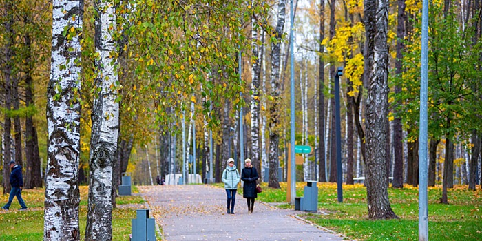 Спокойная осенняя погода: прогноз на выходные 26-27 октября